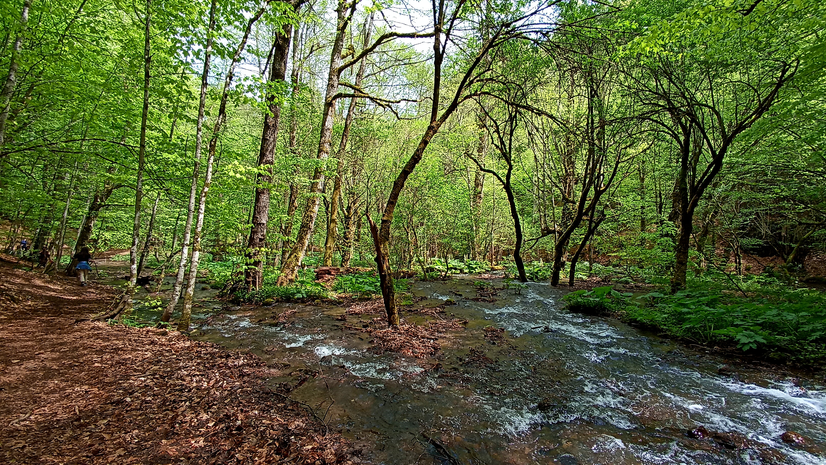 Fauna habitatı